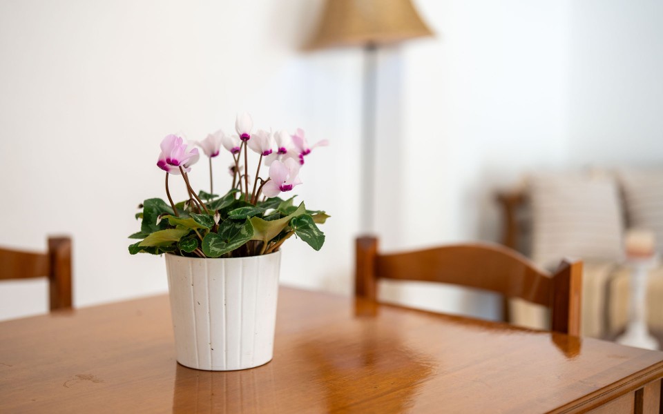 Plethora Home 1 (1-4 pax)